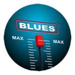 Logo of 📻 Blues Radio android Application 